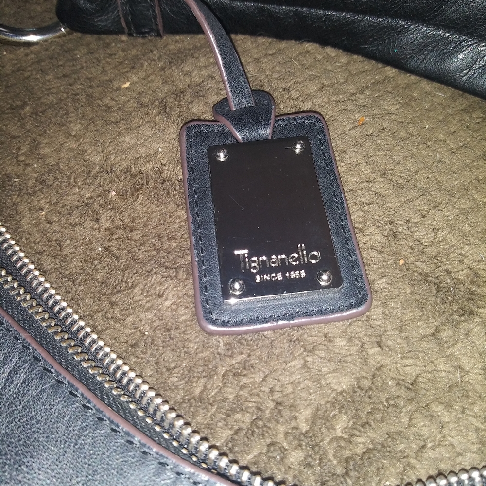 Tignanello hobo bag